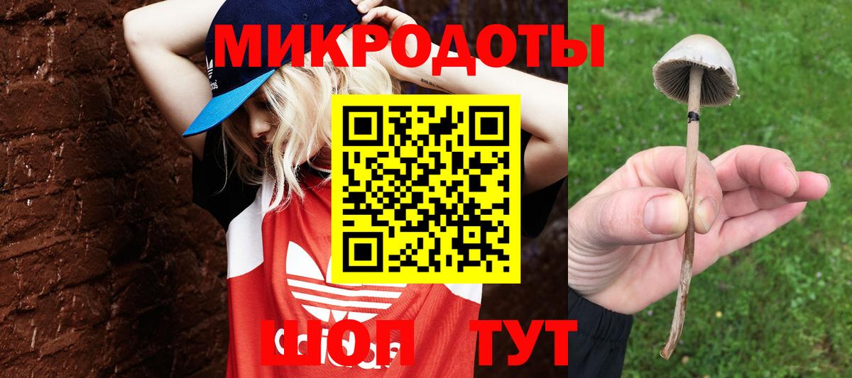 что такое   Галлюциногенные грибы прущие грибы  Вход с VPN  Улан-Удэ 