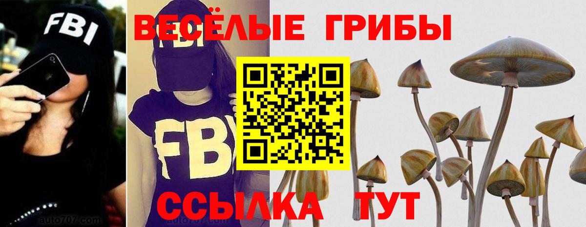 Псилоцибиновые грибы Magic Shrooms Улан-Удэ